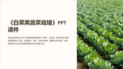 《白菜类蔬菜栽培》课件