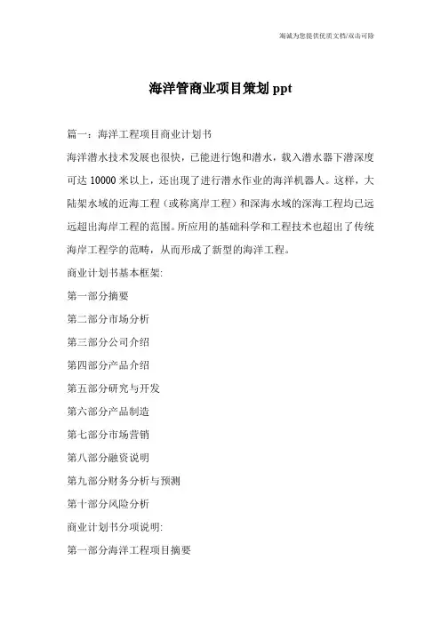 海洋管商业项目策划ppt