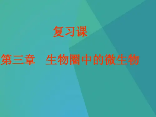 初中生物课件-七年级生物生物圈中的微生物 最新