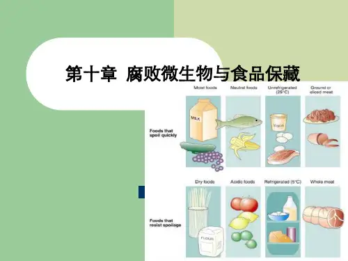 第十章腐败微生物与食品保藏