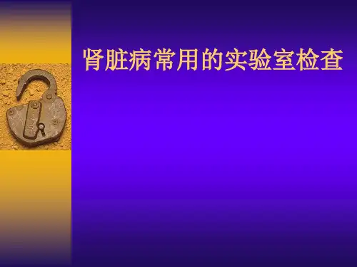 肾脏病常用实验室检查精品PPT课件