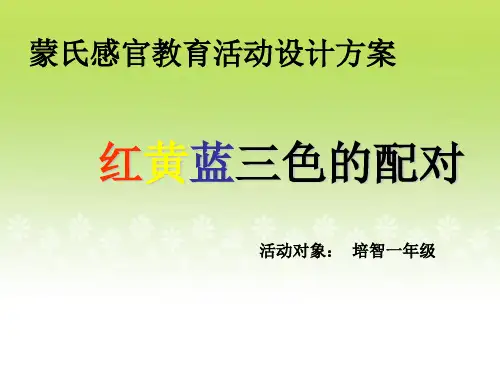 蒙氏感官教育活动设计方案《红黄蓝三色的配对》培智一年级