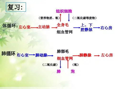 生物七年级人教版 第四节 输血与血型(共34张PPT)