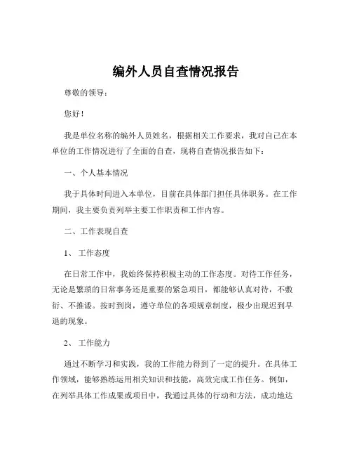 编外人员自查情况报告