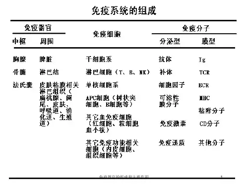 免疫器官的组成和主要作用培训课件