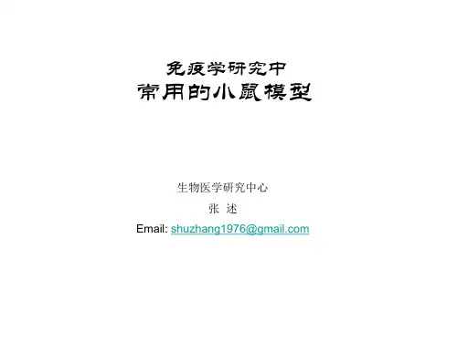 实验室常用小鼠简介(同济)汇总