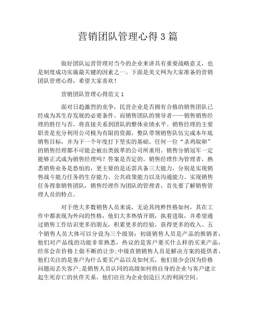 营销团队管理心得3篇