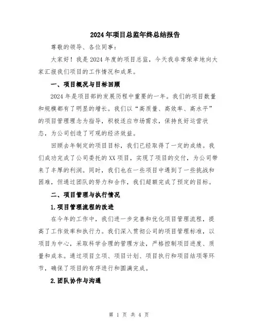 2024年项目总监年终总结报告