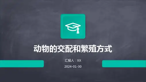 动物的交配和繁殖方式