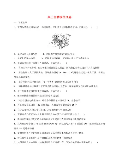 高三生物模拟试卷(含答案)