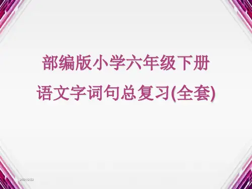 部编版小学六年级下册语文字词句总复习(全套)