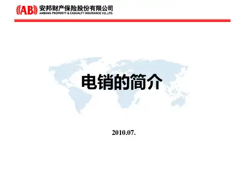 某保险公司电销的简介.pptx
