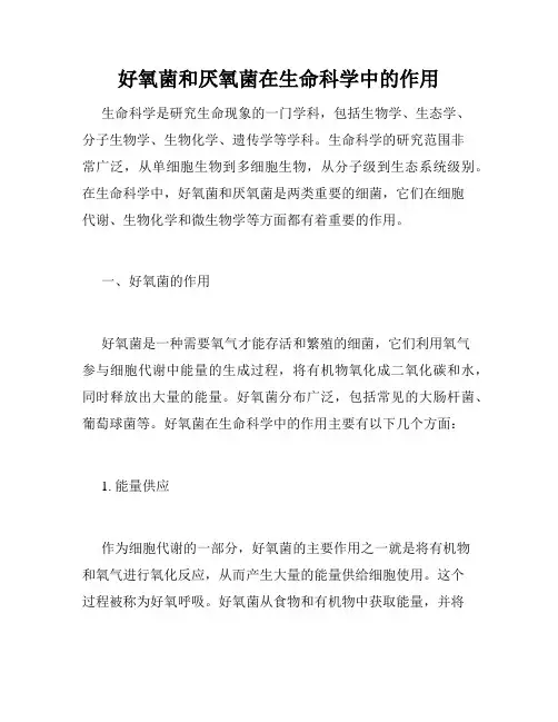 好氧菌和厌氧菌在生命科学中的作用
