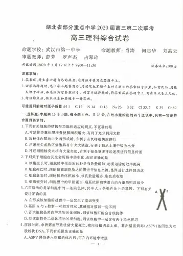 湖北省部分重点中学2020届高三第二次联考理科综合试题 PDF