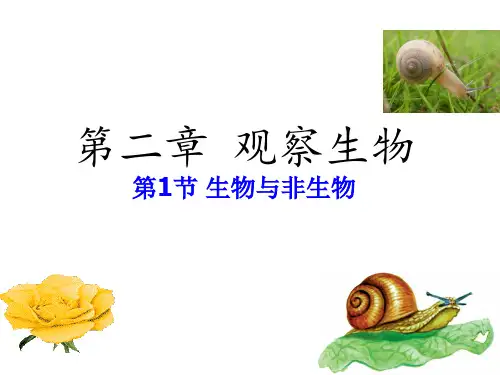 2023-2024学年七年级上册科学(浙教版)配套课件 第二章21生物与非生