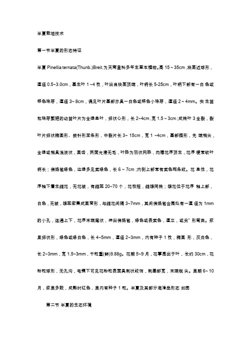半夏栽培技术