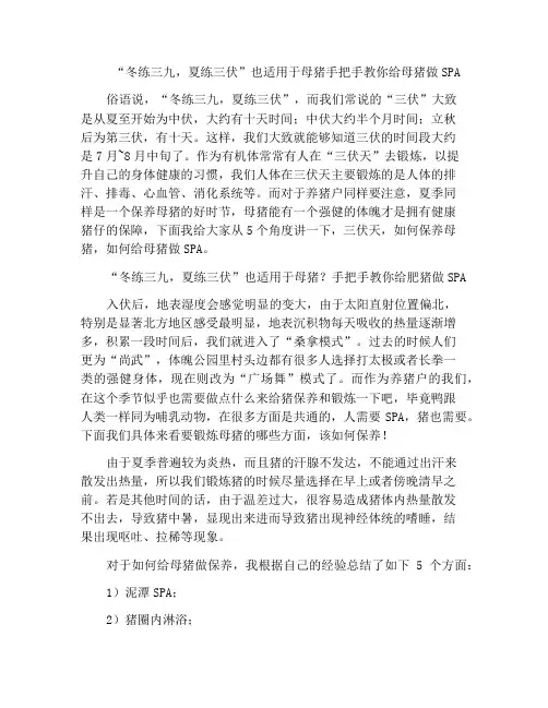 “冬练三九,夏练三伏”也适用于母猪手把手教你给母猪做SPA