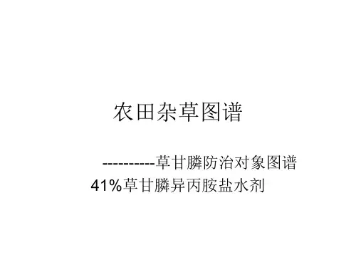 高清杂草图谱_()