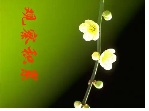 高三语文作文专题复习2省公开课一等奖全国示范课微课金奖PPT课件