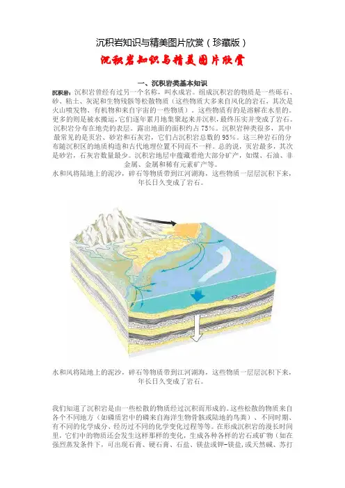 沉积岩知识与精美图片欣赏(珍藏版)