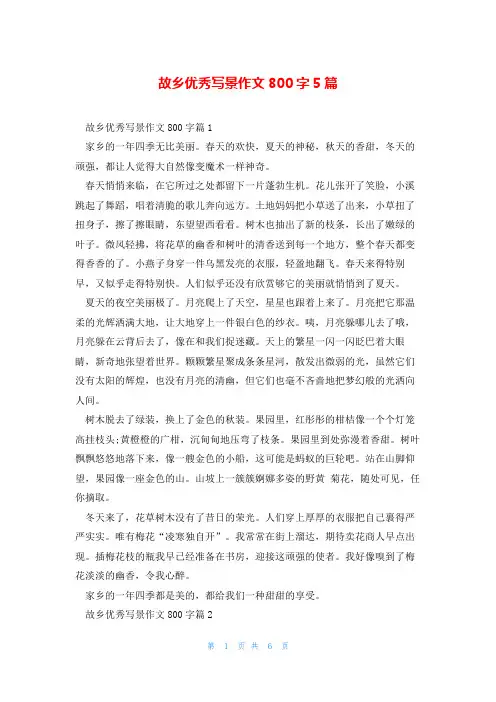 故乡优秀写景作文800字5篇