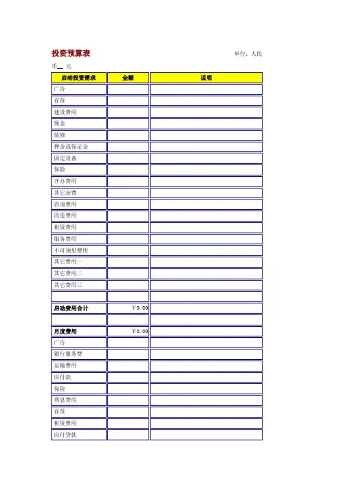 投资预算表