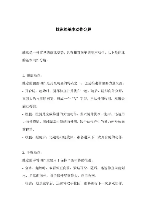 蛙泳的基本动作分解