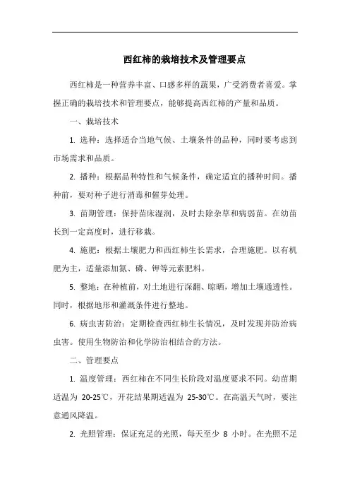 西红柿的栽培技术及管理要点