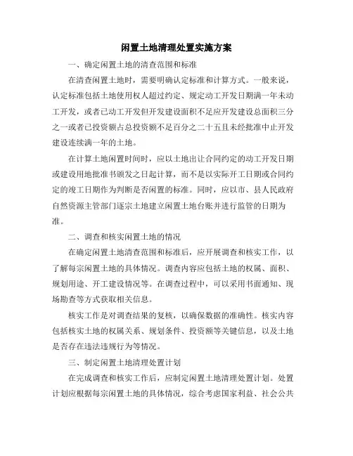 闲置土地清理处置实施方案