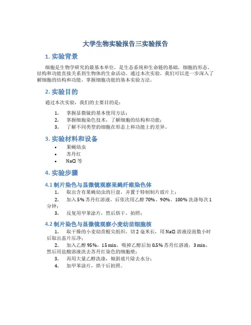 大学生物实验报告三实验报告
