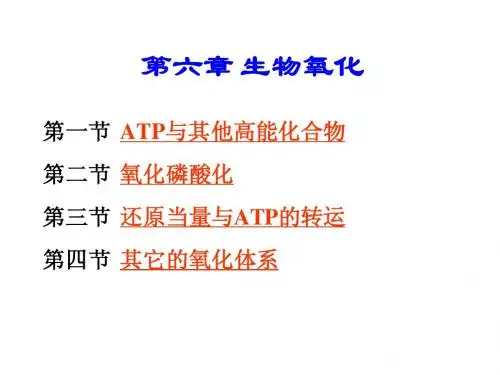 生物化学之生物氧化