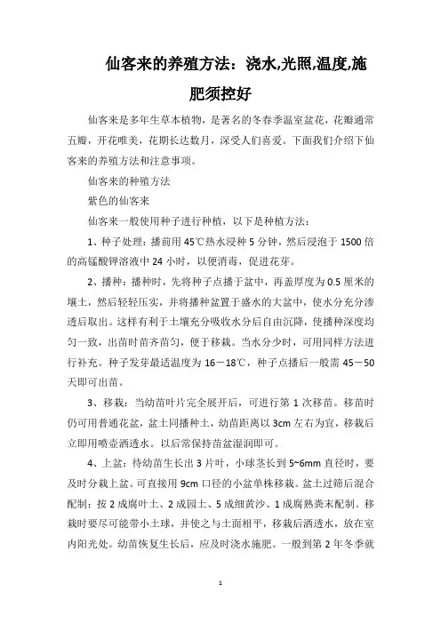 仙客来的养殖方法：浇水光照温度施肥须控好