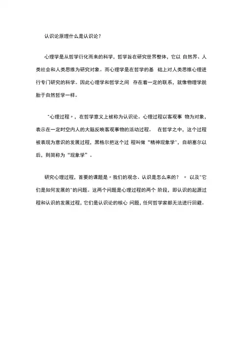 认识论原理 什么是认识论