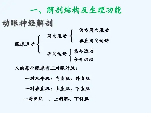 动眼神经解剖 ppt课件