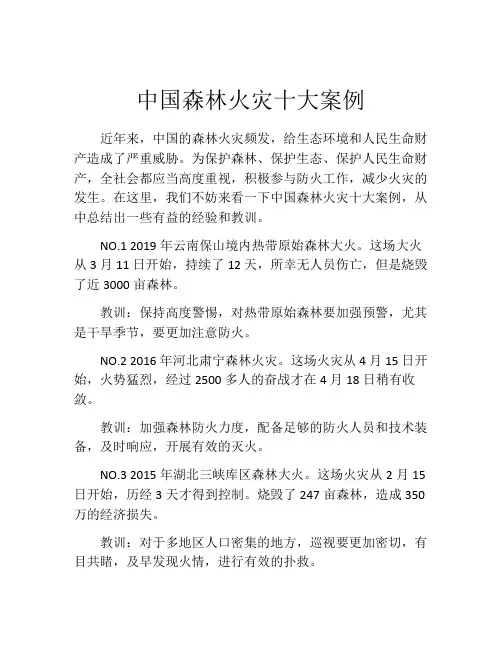 中国森林火灾十大案例