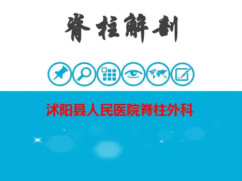脊柱解剖PPT课件