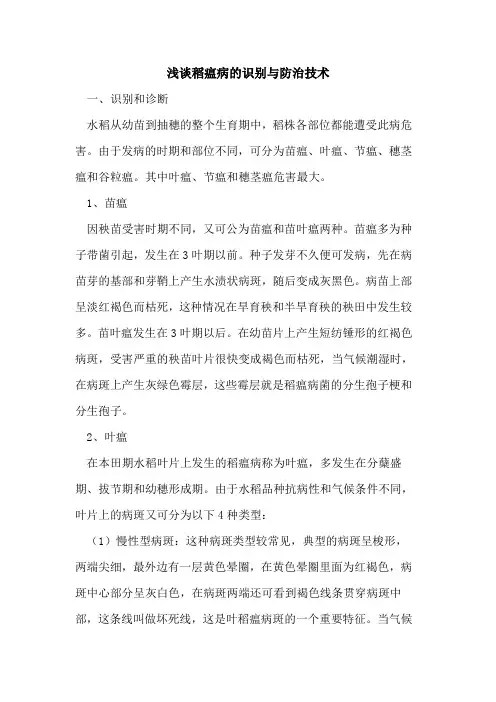 稻瘟病识别与防治技术