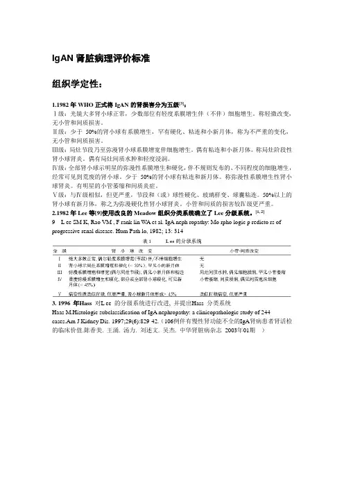 IgAN肾脏病理评价标准