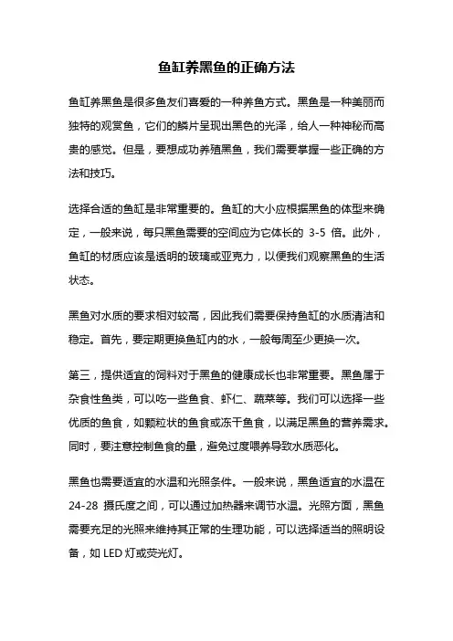 鱼缸养黑鱼的正确方法