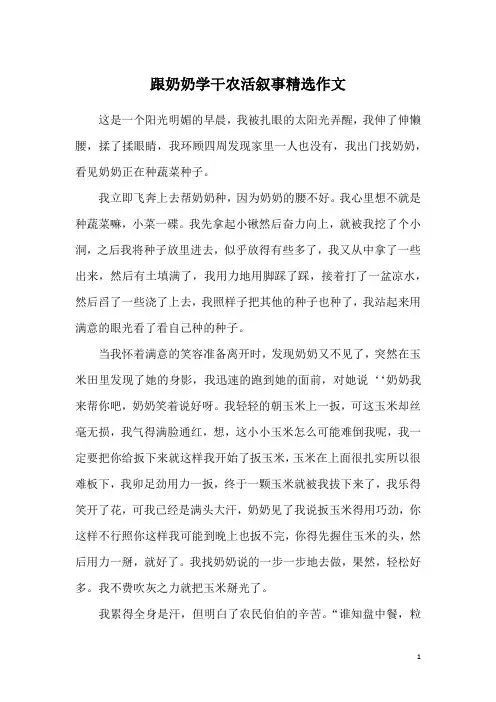 跟奶奶学干农活叙事精选作文