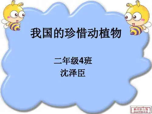我国的珍惜动植物