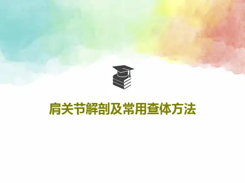 肩关节解剖及常用查体方法共71页