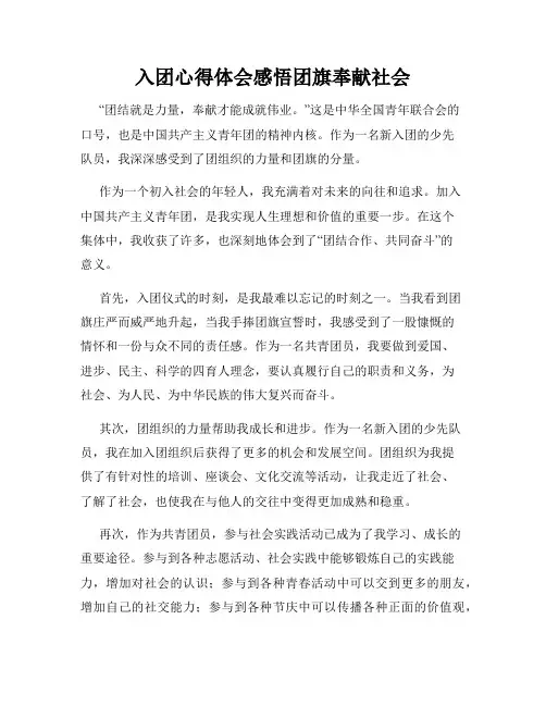 入团心得体会感悟团旗奉献社会