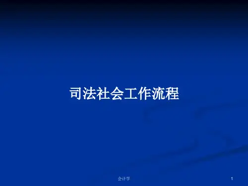 司法社会工作流程PPT学习教案
