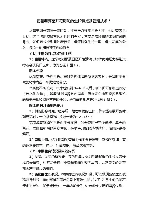 葡萄萌芽至开花期间的生长特点及管理技术！