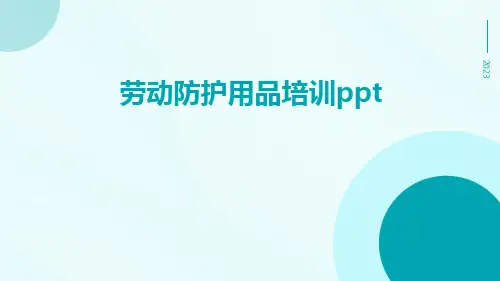 劳动防护用品培训ppt