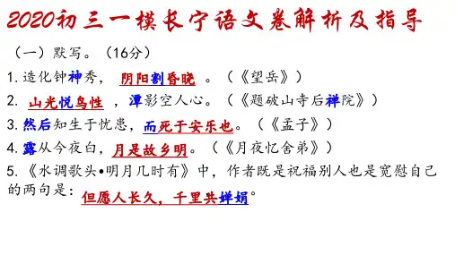 2020初三一模长宁语文卷解析及指导 