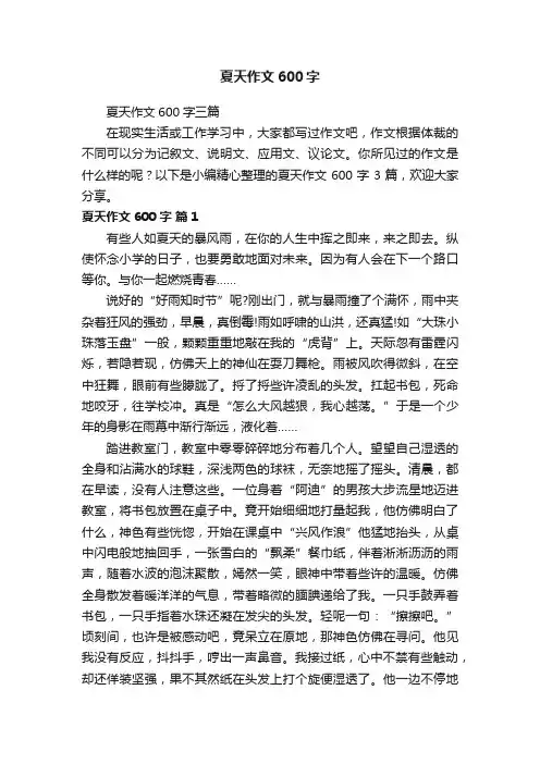 夏天作文600字三篇