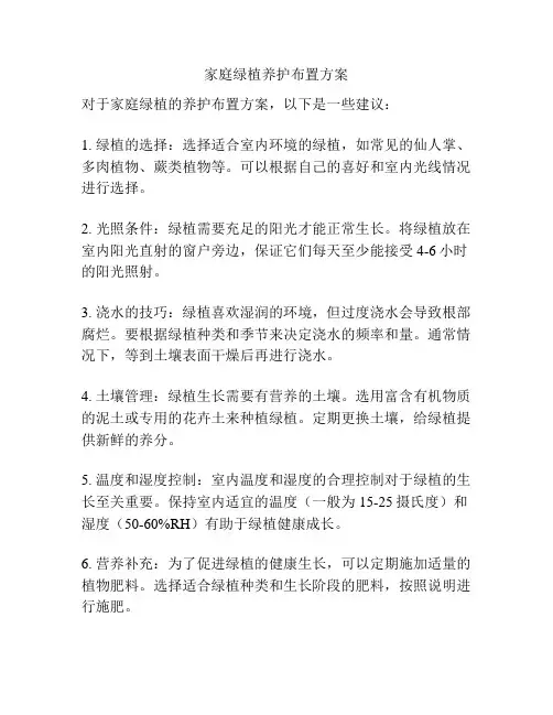 家庭绿植养护布置方案