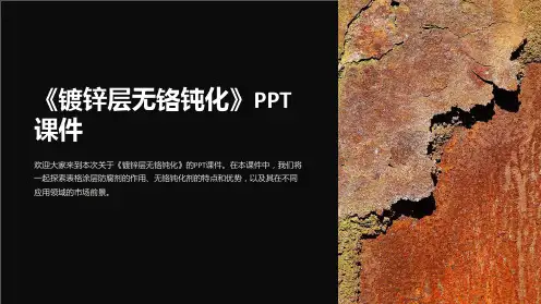 《镀锌层无铬钝化》课件
